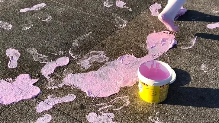 Pink Migration image 2